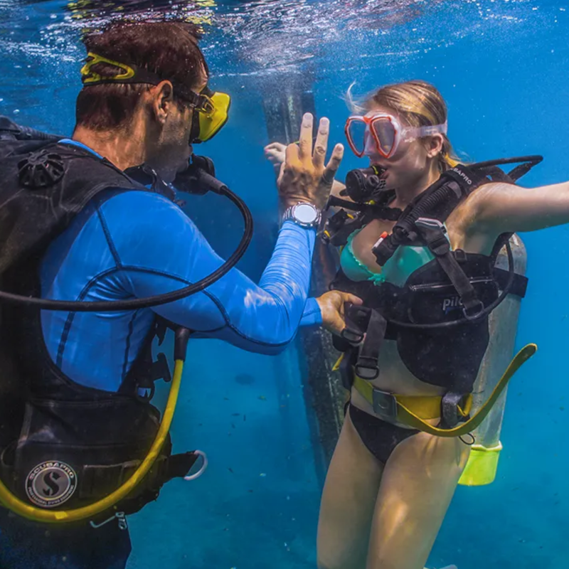 Free Scuba Dive Coupon