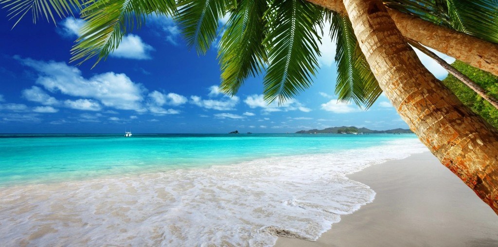 Palm-framed tropical beach with turquoise water in the Andaman Islands