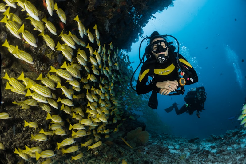 Travellers in the Andaman Islands