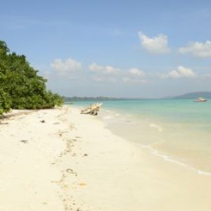 Exceptional Andaman
