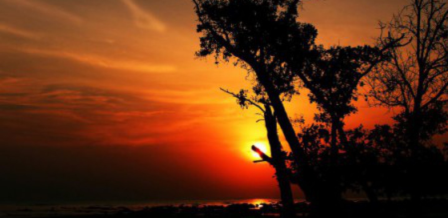 Magnificent Andaman