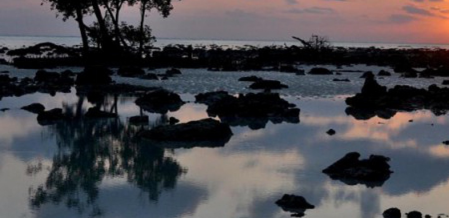 Blissful Andaman