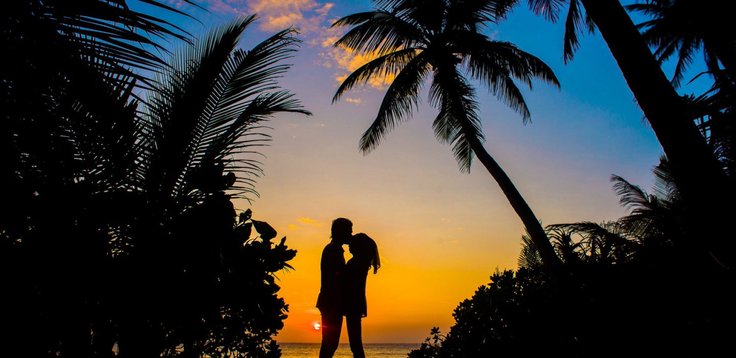 Magical Honeymoon