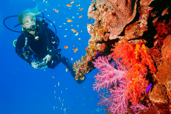 Scuba Diving