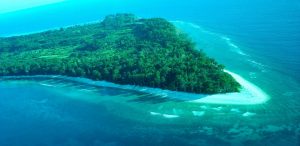 Exploring Neil Island In Andaman & Niicobar
