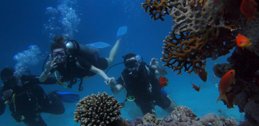 Best 5 places to enjoy scuba diving in Andaman