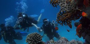 Best 5 places to enjoy scuba diving in Andaman