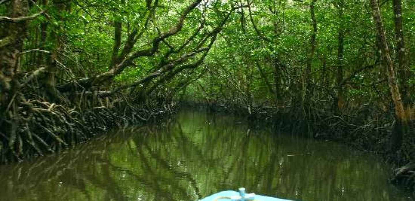 Baratang Island- Abode of natural wonders