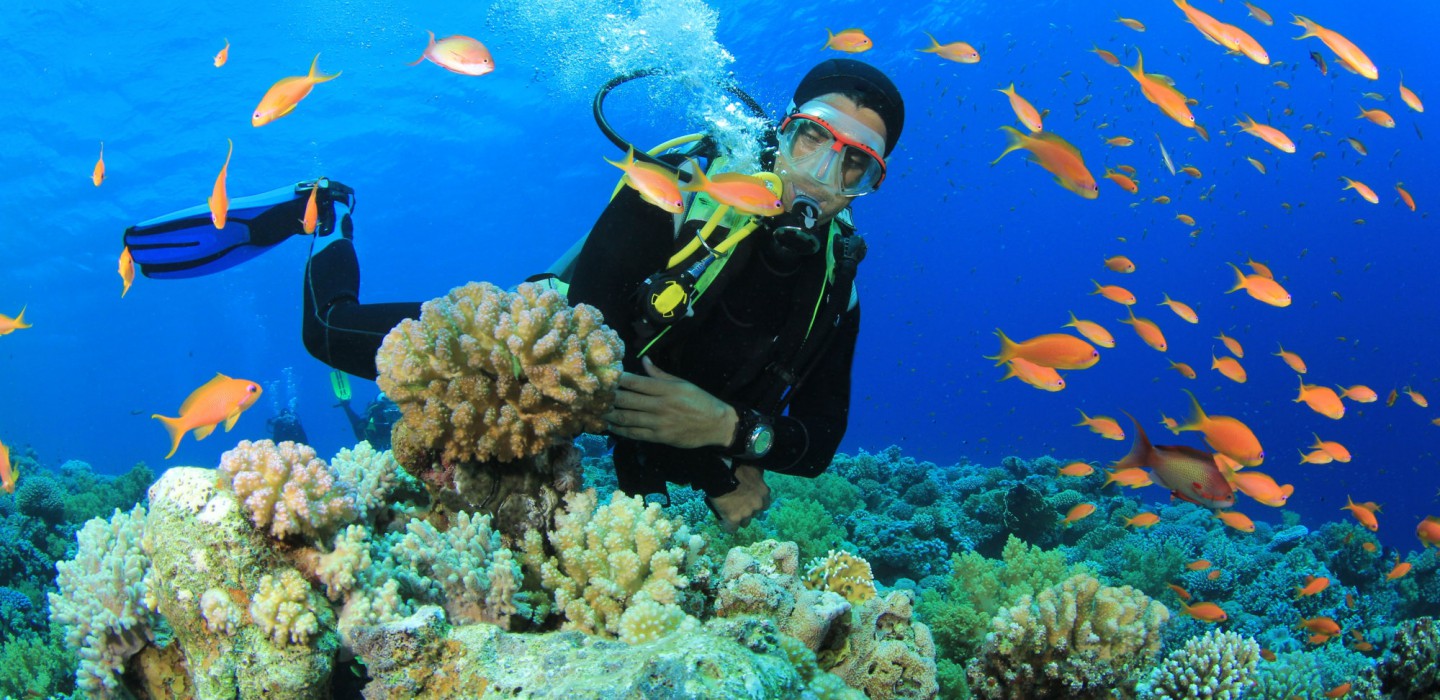 Scuba Diving in Andaman