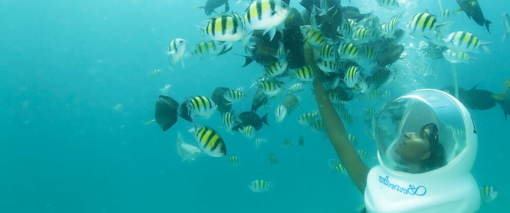 7-Day Andaman Tour Itinerary For First-Time Visitors
