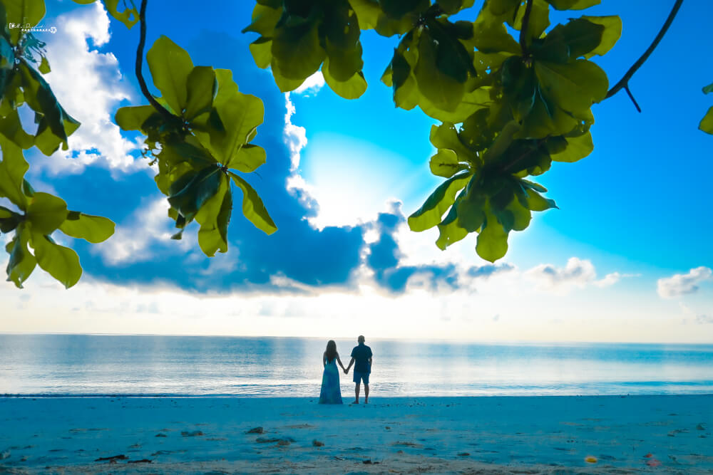 Bangalore To Andaman Islands: A Complete Travel Guide 2023