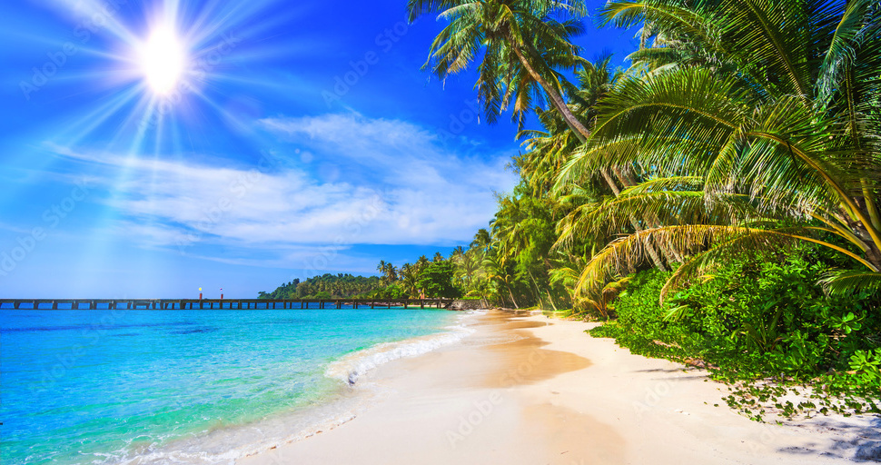Lakshadweep vs Andaman: Which Is Better Than Other?