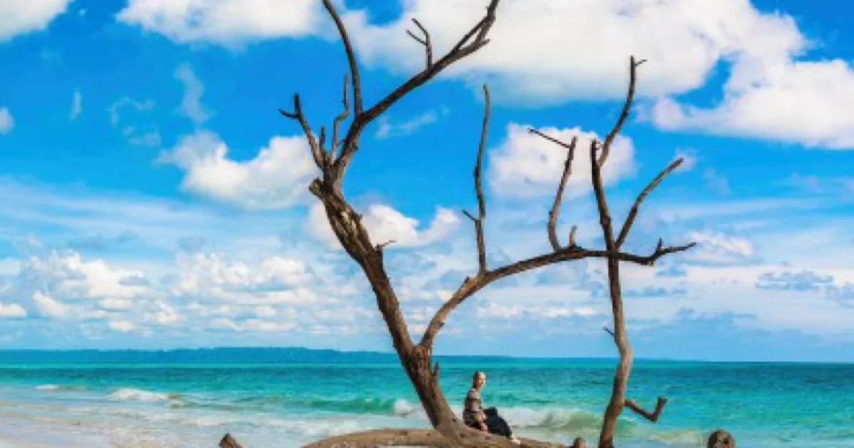 Explore Andaman: Best Time To Visit & Famous Places Around It