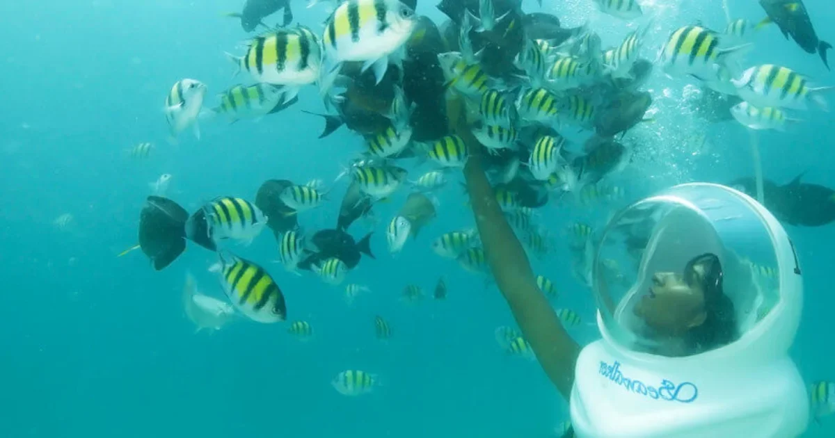7-Day Andaman Tour Itinerary For First-Time Visitors