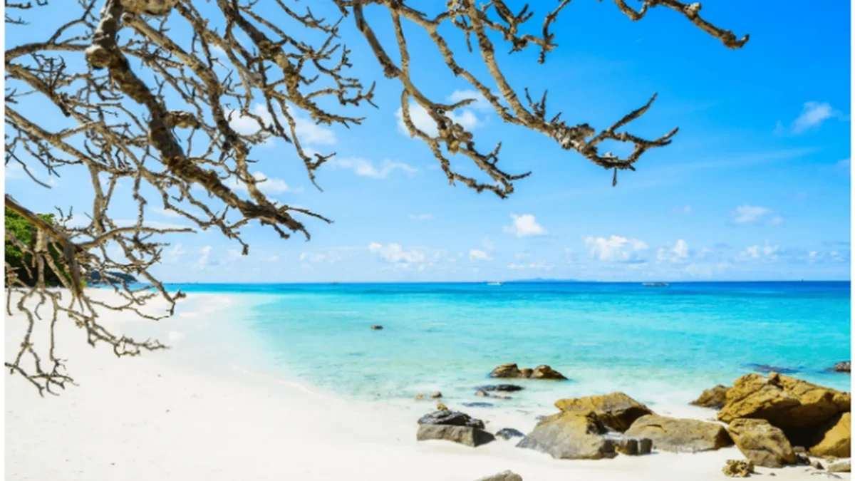 Appealing Andaman
