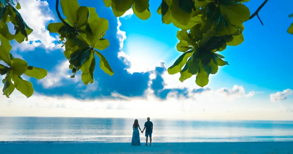 Bangalore To Andaman Islands: A Complete Travel Guide 2023