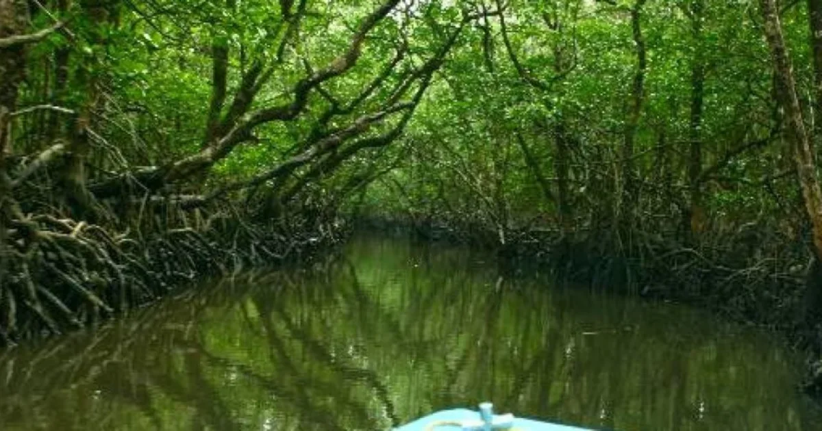 Baratang Island- Abode of natural wonders