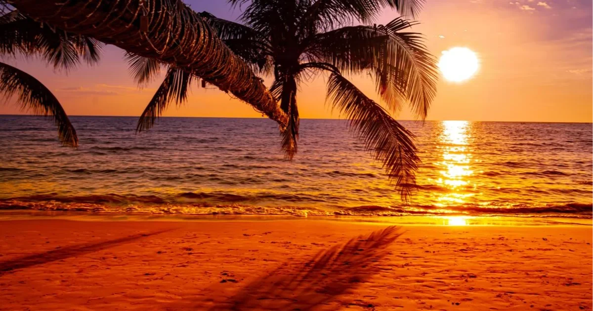 7 Best Beaches in Andaman That Will Steal Your Heart