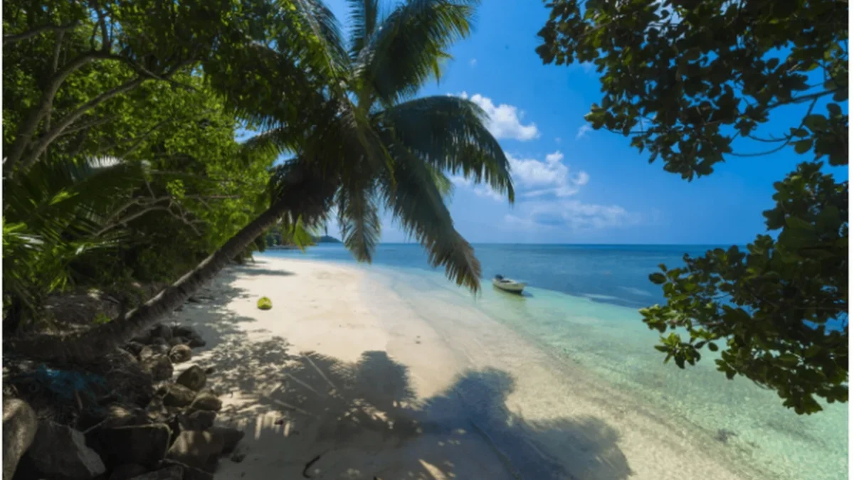 Distinctive Andaman
