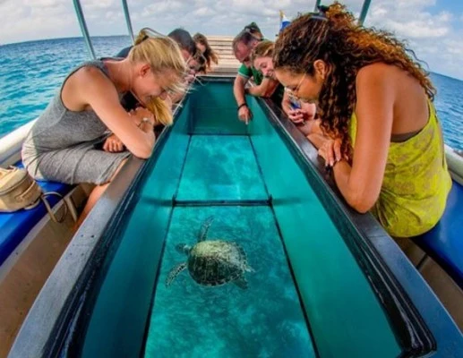 Glass bottom boat ride near Neil Island