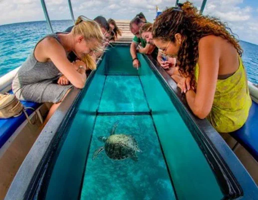 Glass bottom boat ride near Neil Island
