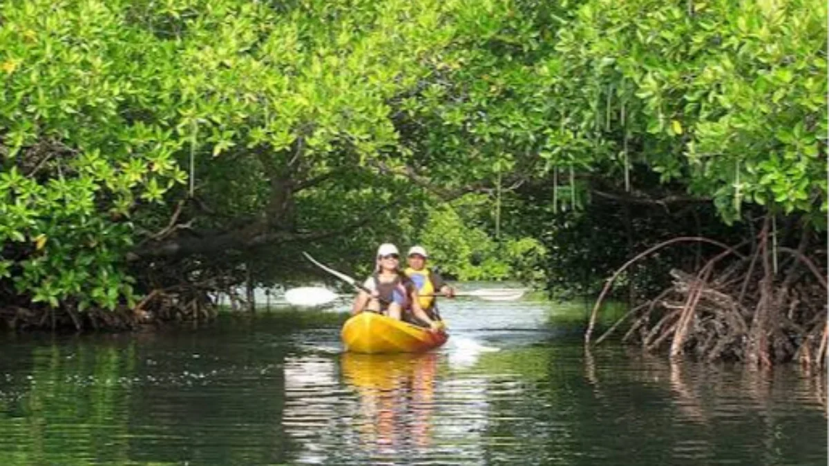 Kayaking