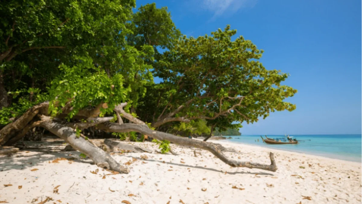 Magnificent Andaman