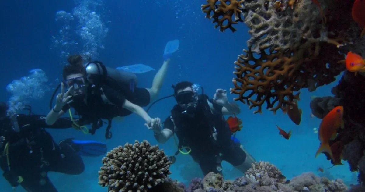 Best 5 places to enjoy scuba diving in Andaman