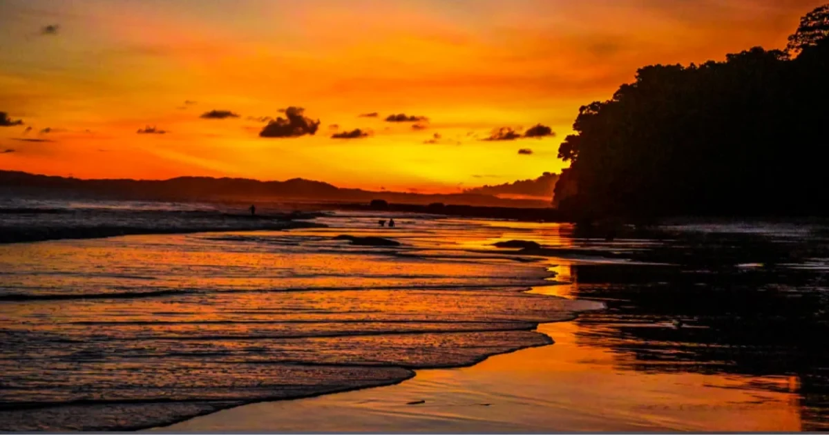 https://adventureandaman.com/uploads/cms/radhanagar-beach-2-9a1f0077.webp