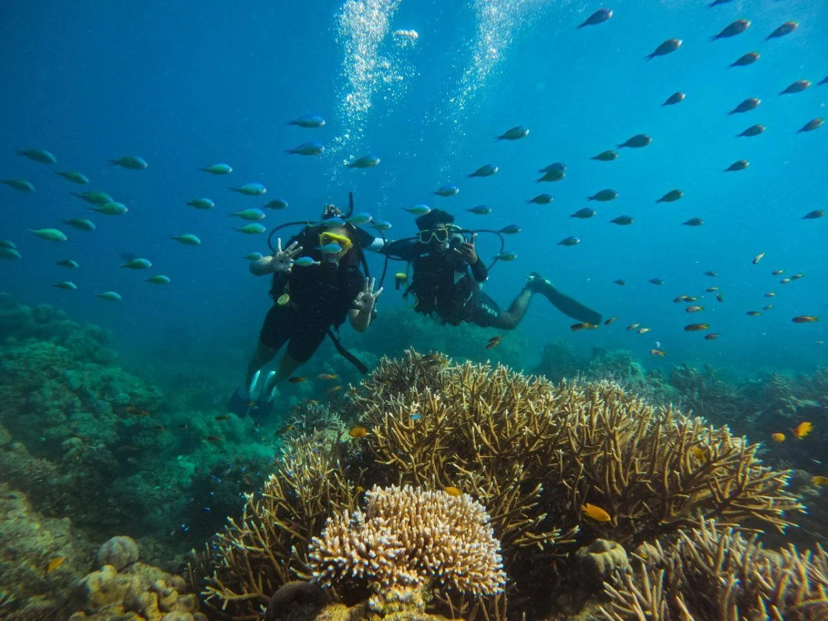 Scuba diving near Barren Island, Andaman