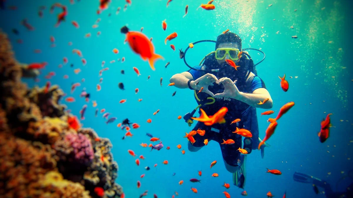 Scuba Diving