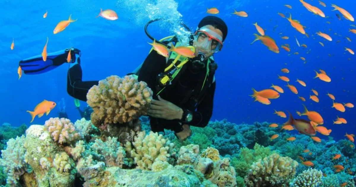 Scuba Adventure in Andaman