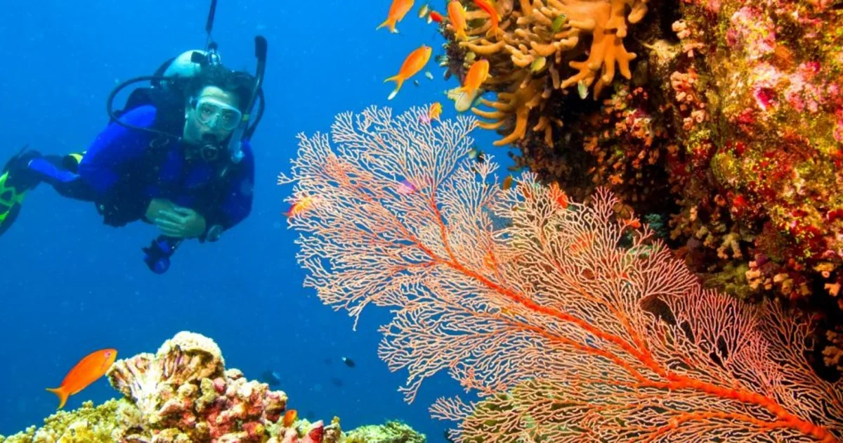 Three water sports activities you should not miss at Andaman Islands.