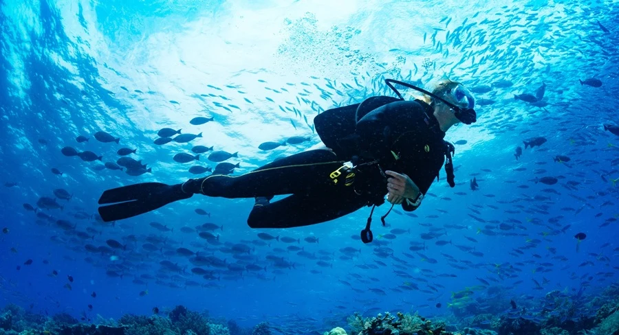 Scuba diving near Neil Island, Andaman