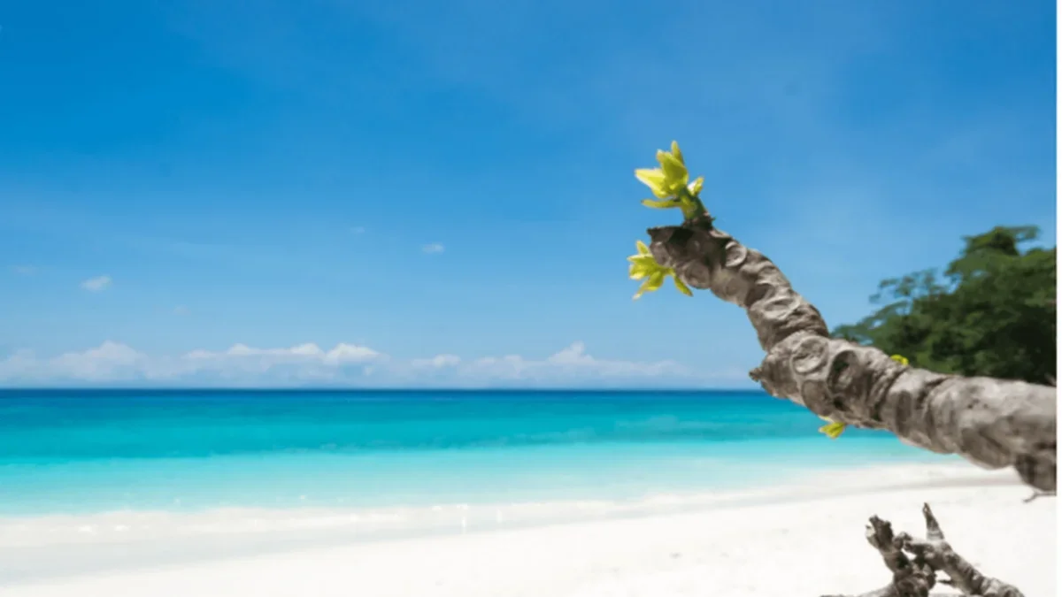 Splendid Andaman