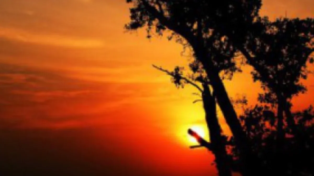Experience Andaman